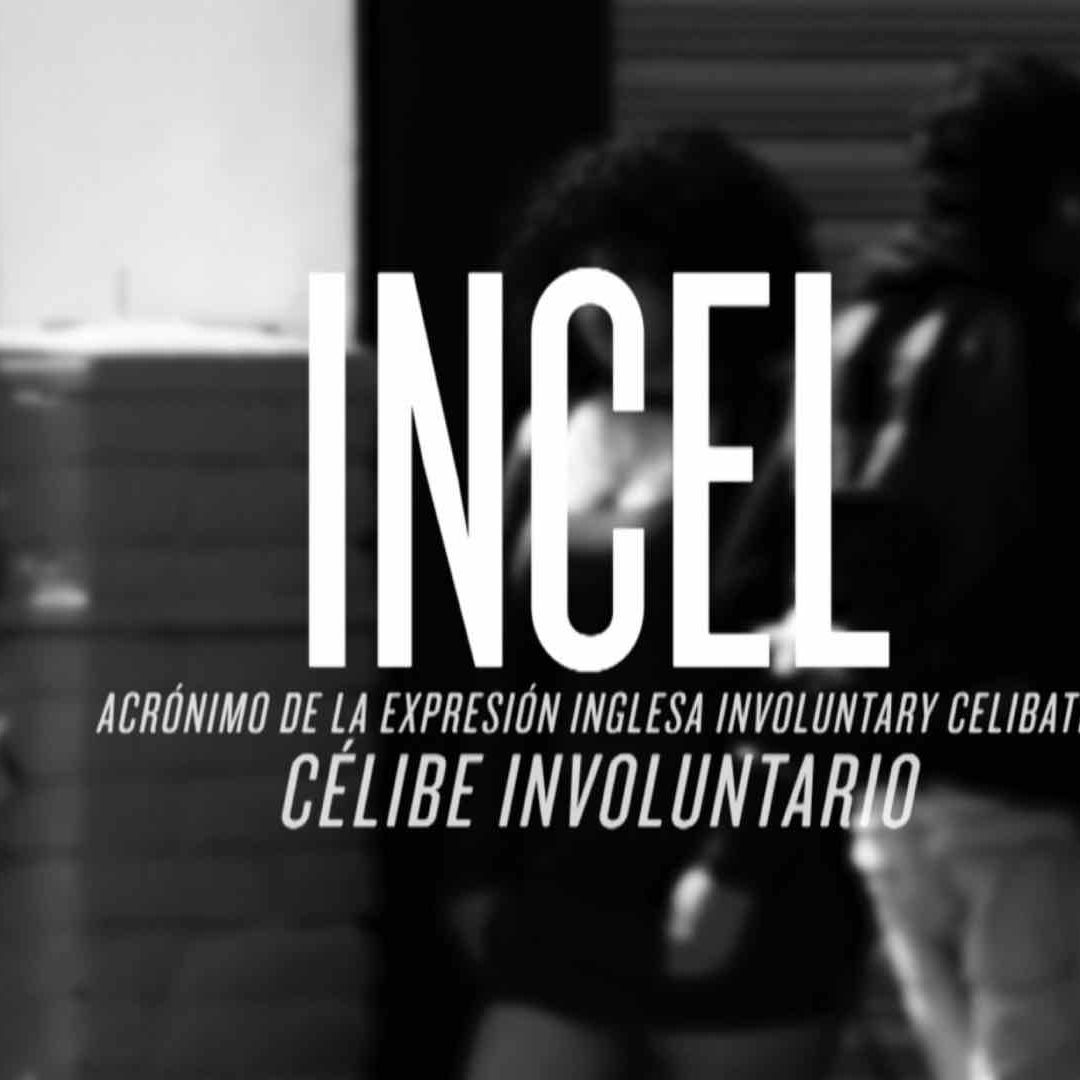 Los Incels comparten opiniones en foros de internet