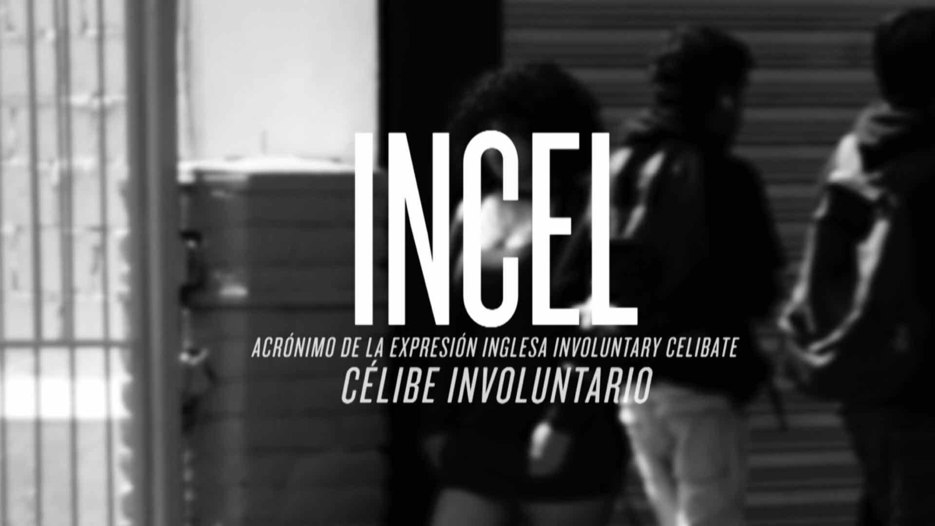 Los Incels comparten opiniones en foros de internet