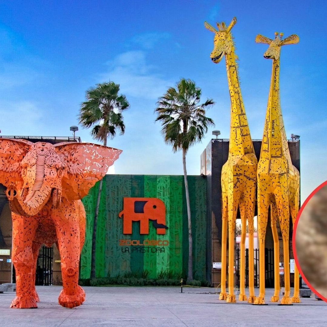 Zoológico La Pastora