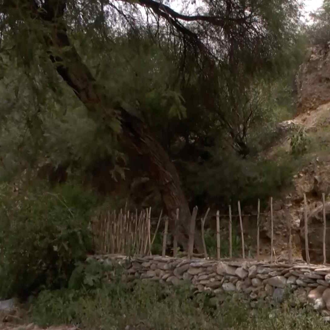 Muere un Minero Tras Derrumbe en Mina de Querétaro