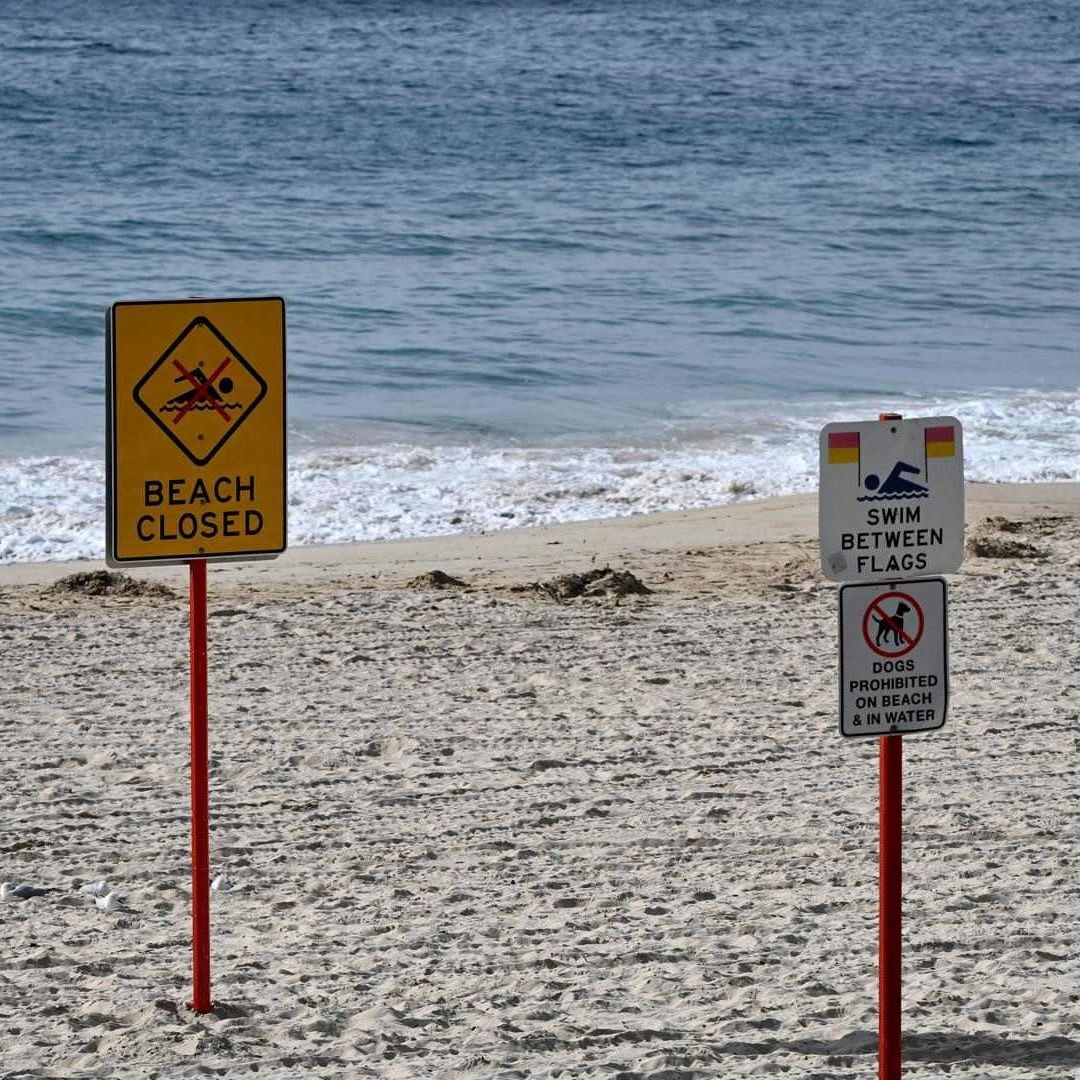 Aparecen miles de bolas negras en playas de Australia, todo un misterio