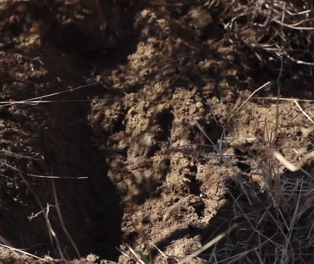Aumenta la Cantidad de Restos Humanos Localizados en Fosa Clandestina en Costa de Hermosillo