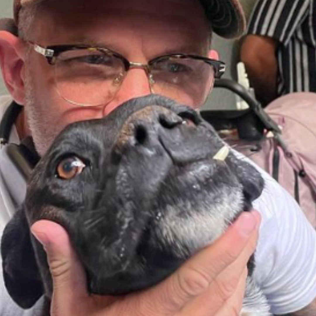 Tom Hardy y Paco en el albergue Adopta.Mx en la CDMX