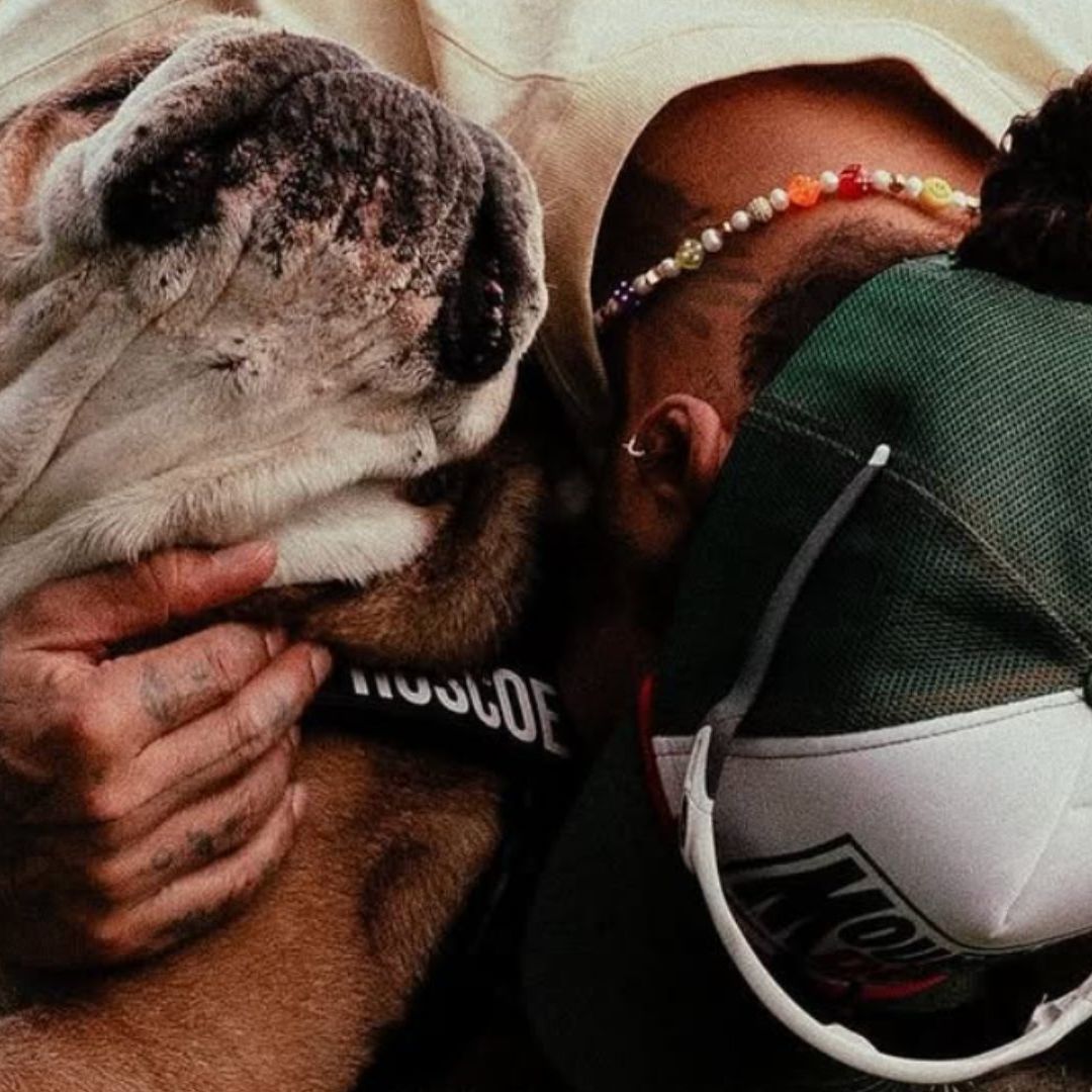 Lewis Hamilton abraza a su perro, Roscoe