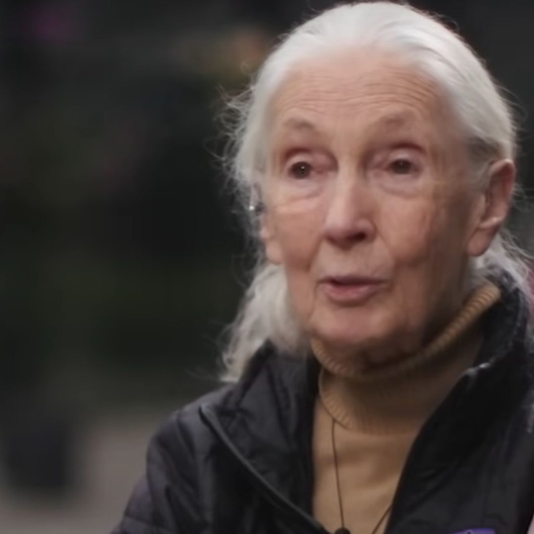 Jane Goodall Advierte sobre Impacto Ambiental de la IA: "Es Enorme, Consume Energía y Agua"