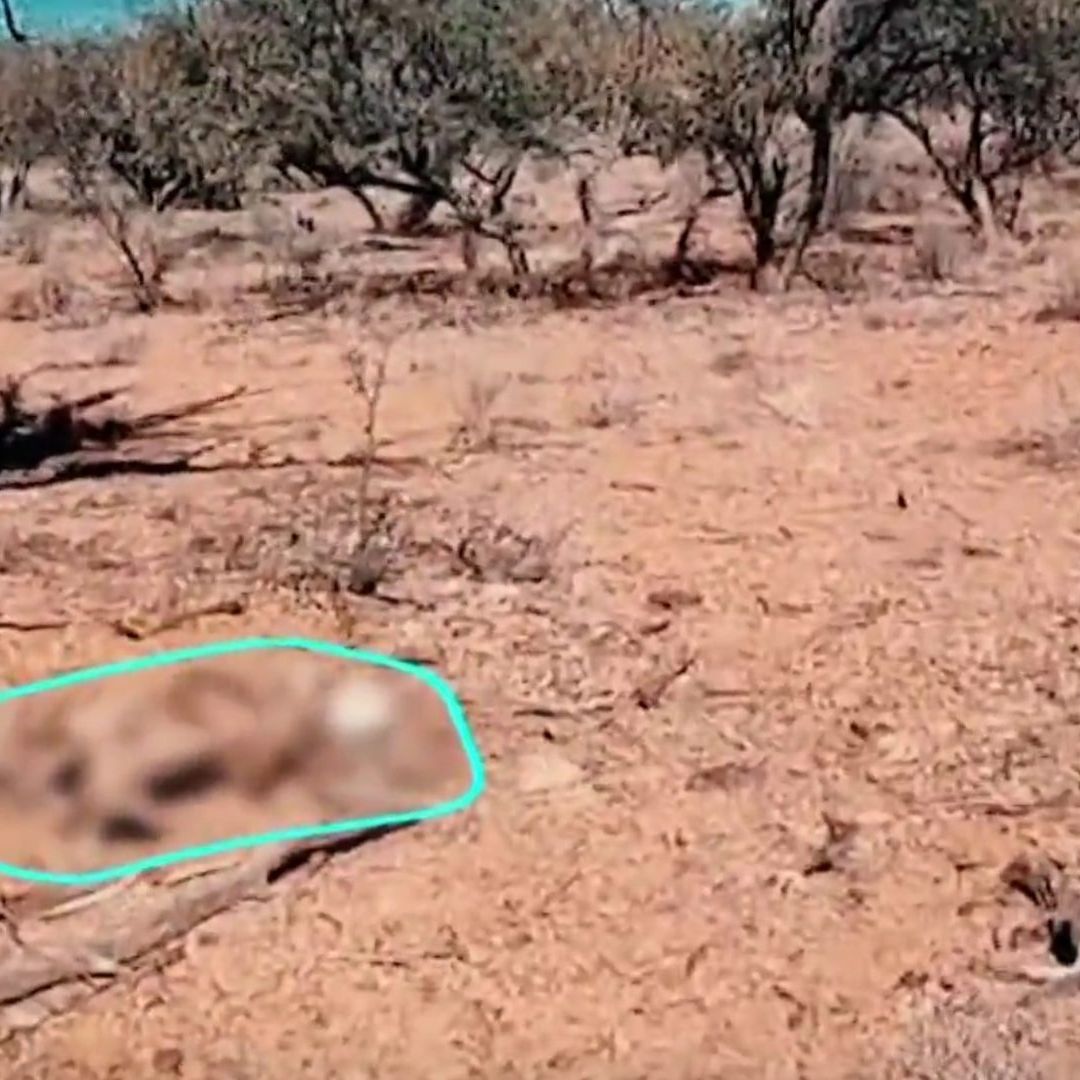 Con IA Reviven a Migrante Poblana Para Pedir Rescate, Mientras Sus Restos Yacían en el Desierto