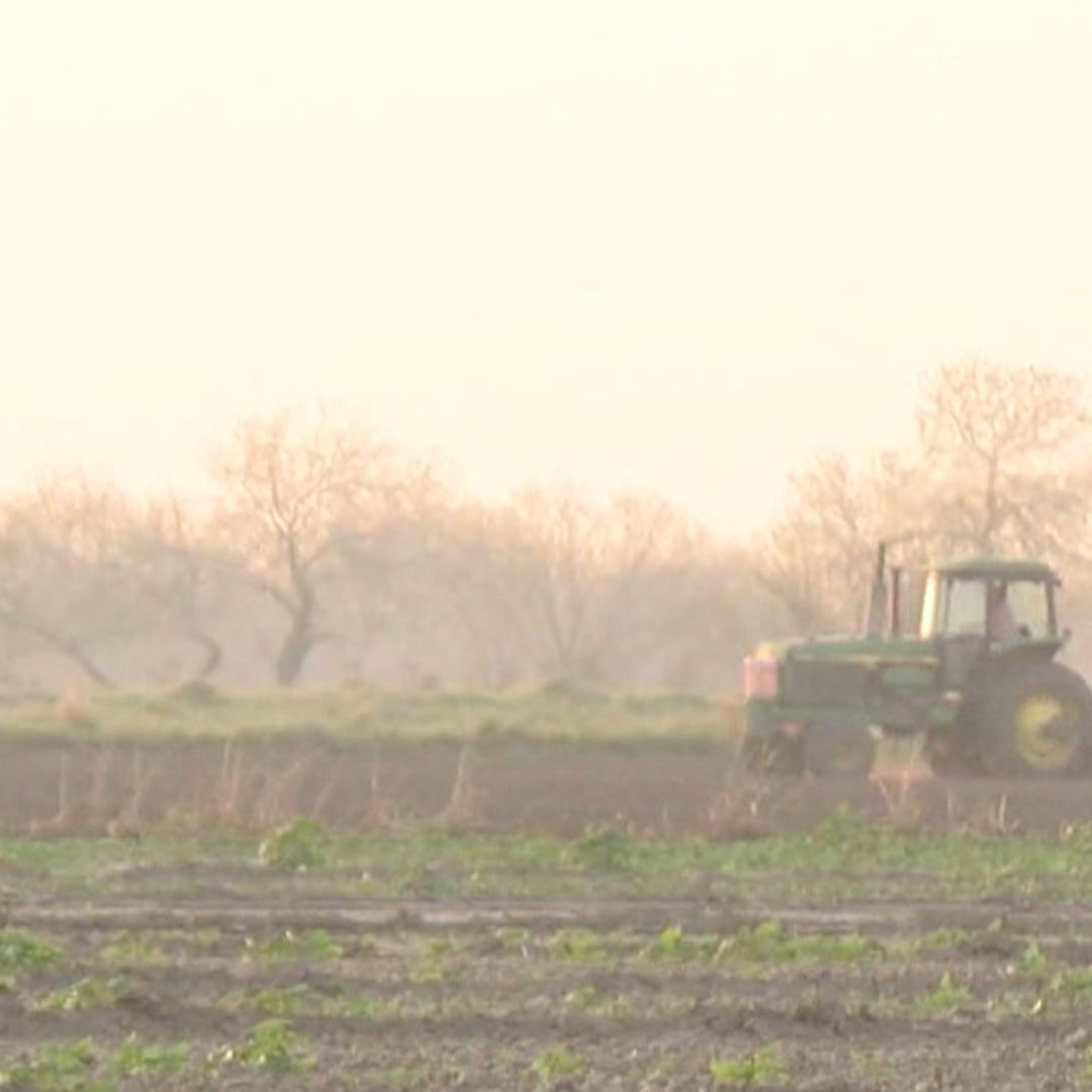 Programa de Fomento a la Agricultura: Amplían Registro de Apoyo a Productores en Sonora
