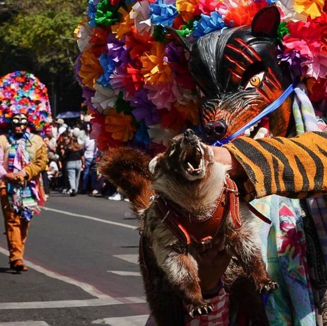 ¿A Qué Hora es el Desfile de Alebrijes Monumentales 2024 y Cuál Será su Ruta en CDMX?