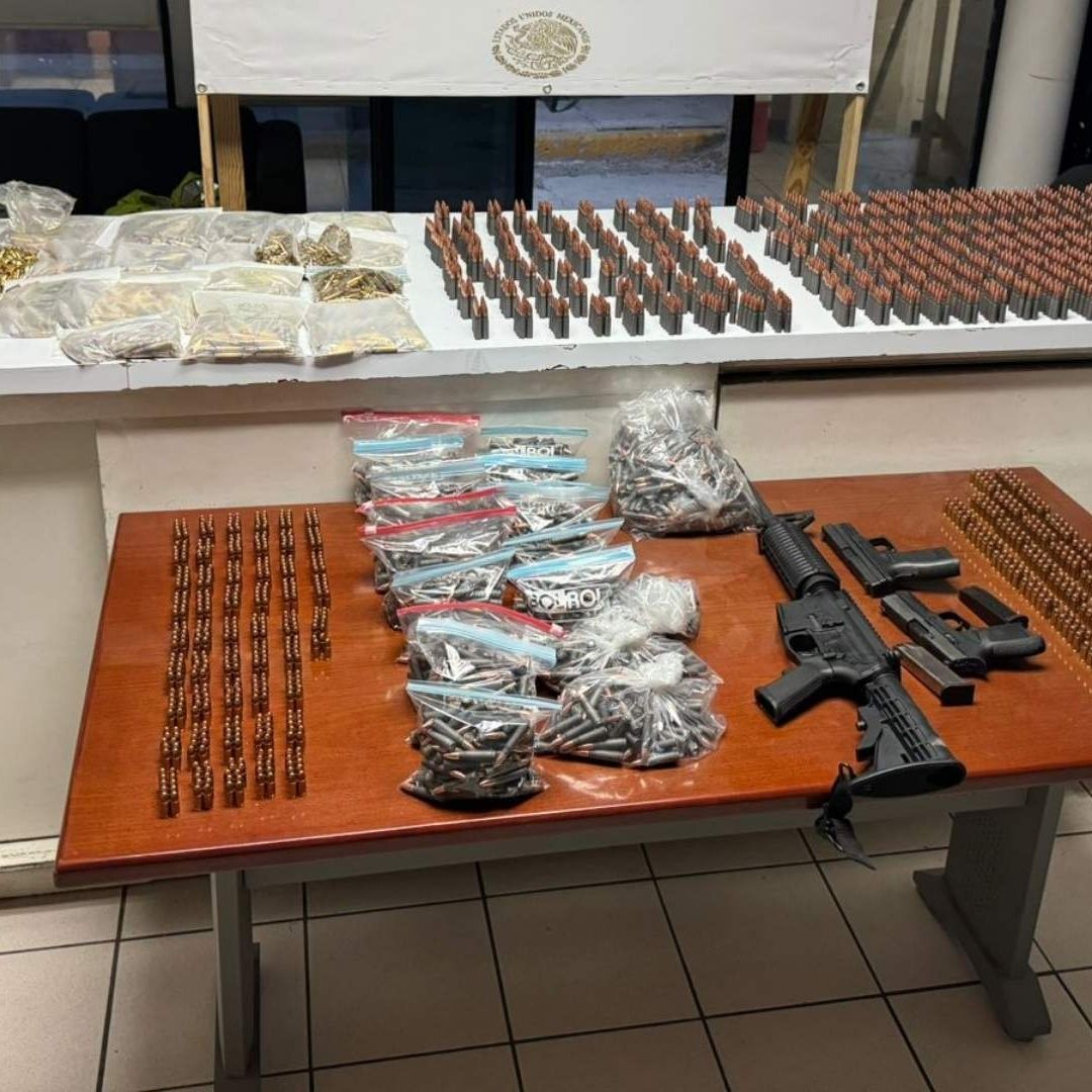 armas de fuego y municiones decomisadas