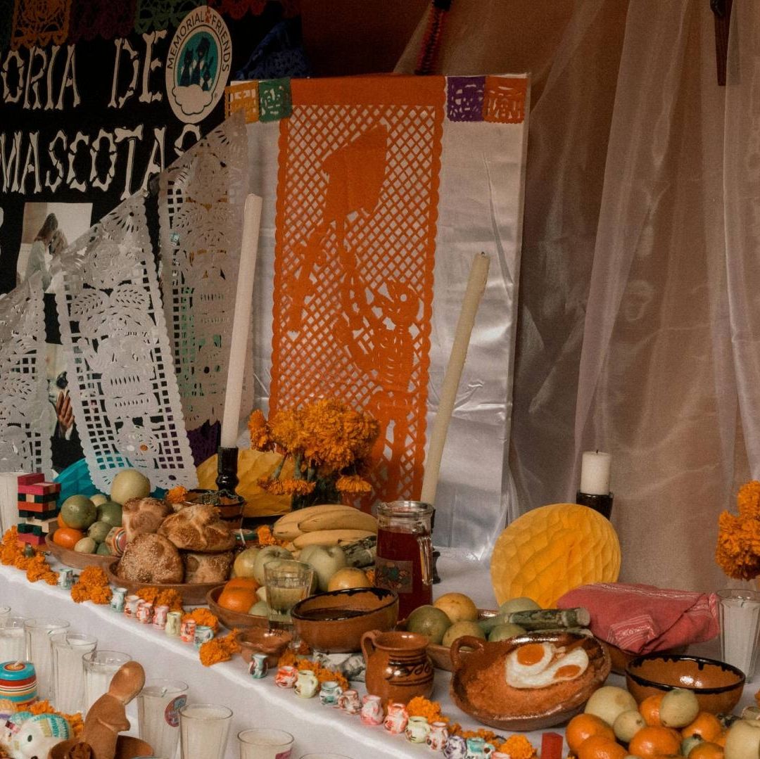 ¿Cuándo es el Día de Muertos de las Mascotas? En Esta Fecha se Pone Ofrenda a Animales Difuntos