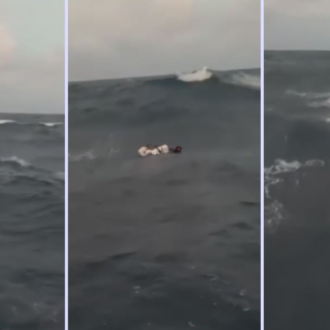 Rescatan a Tres Pescadores en Altamar Frente a Costas de Celestún, Yucatán