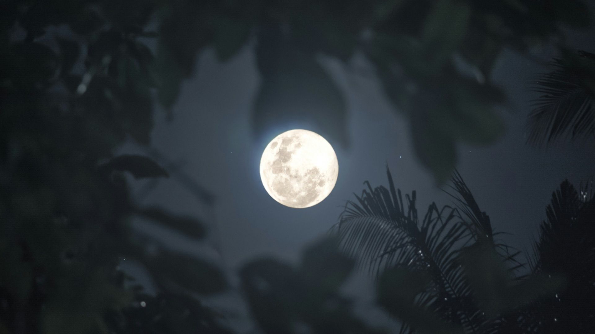 Superluna de Octubre: Fecha Luna de Cosecha 2025