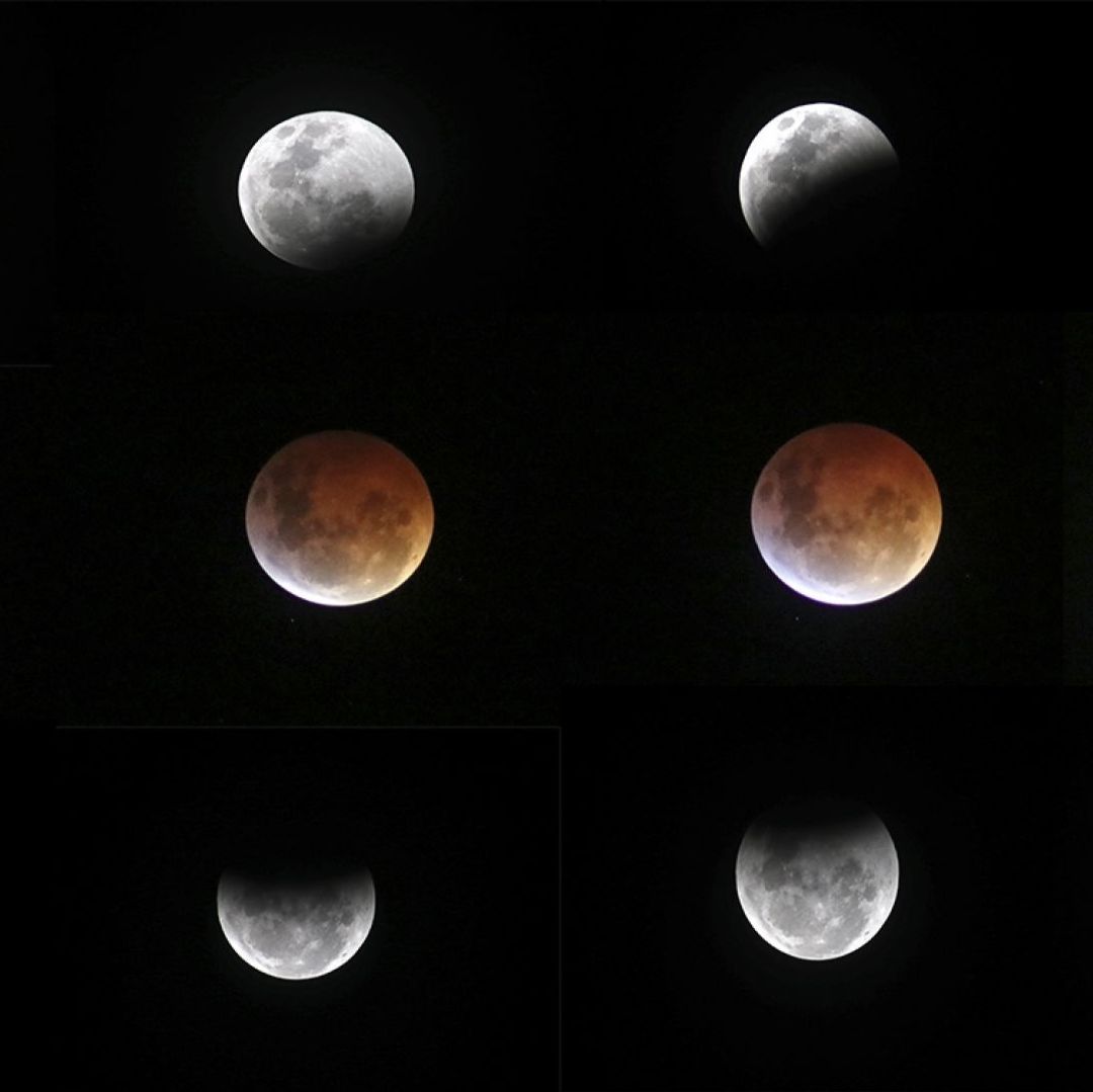 Diferentes fases de la Luna unidad en una imagen.