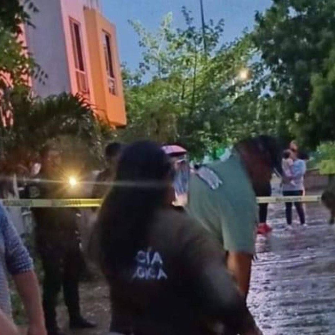 Un Caso Más de Maltrato Animal en Yucatán: Perrito es Agredido con Machete en Kanasín