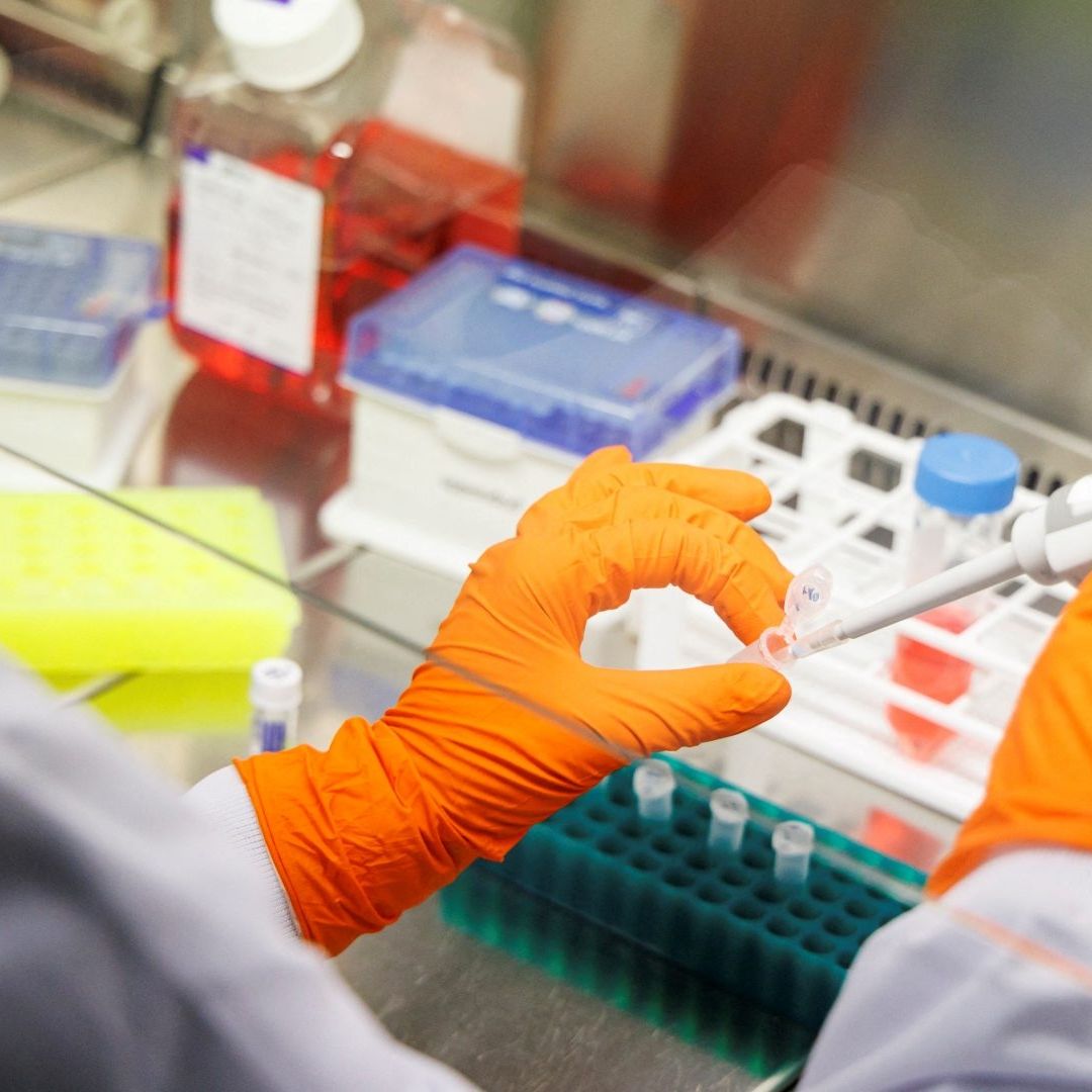 Virus Mpox: Primer Caso Nueva Variante Detectado en Alemania Octubre 2024