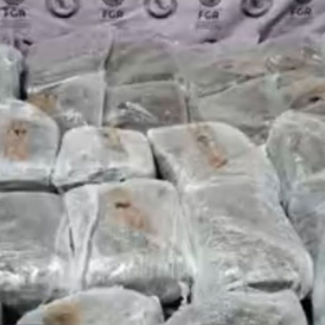 Paquetes de marihuana