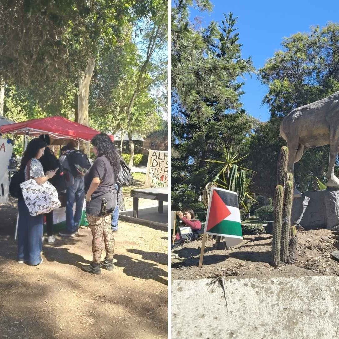 Estudiantes de UABC se Manifiestan por Mexicanos Retenidos en Gaza