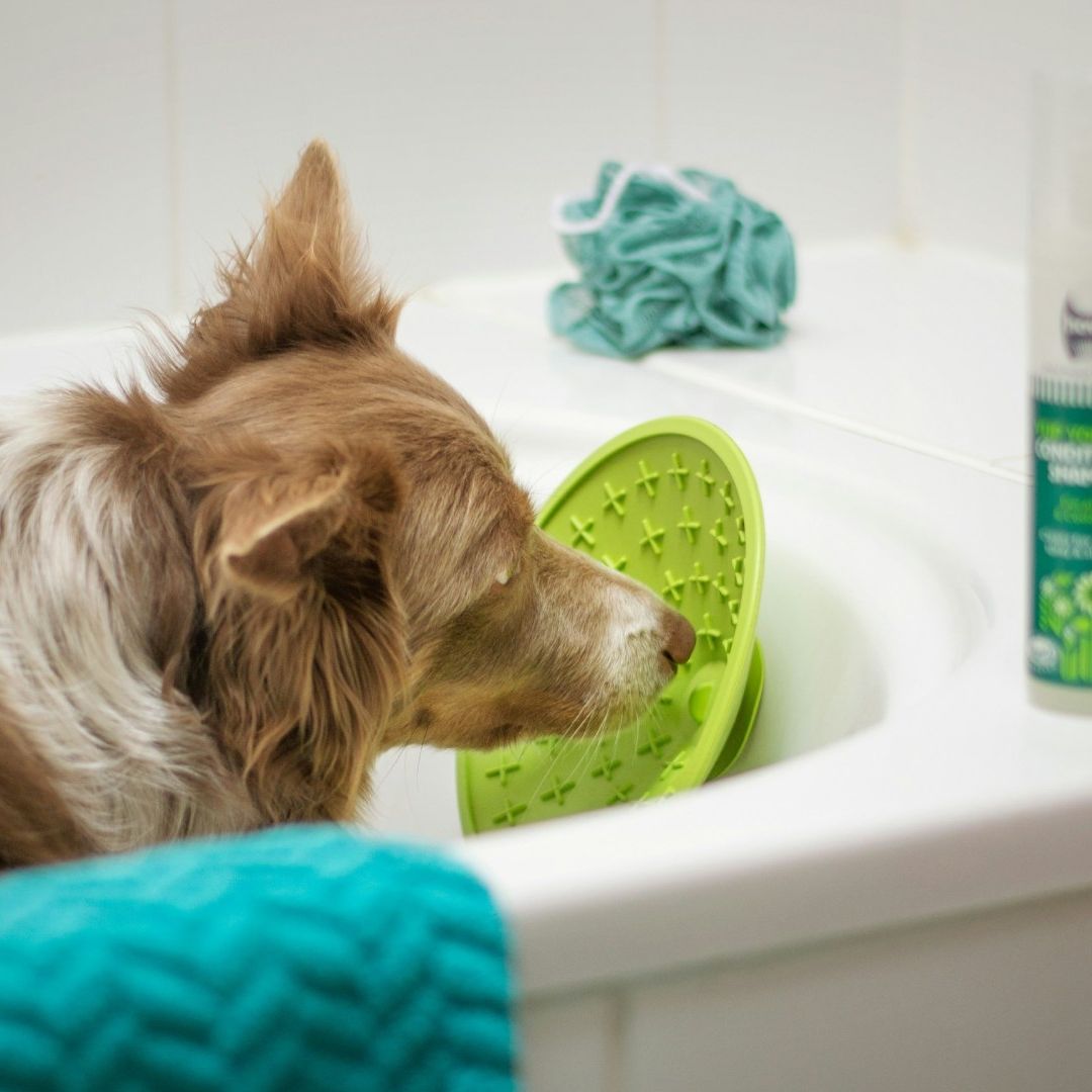 Niña Sale a Comprar Shampoo para su Perrito y la Hallan Muerta en la Veterinaria