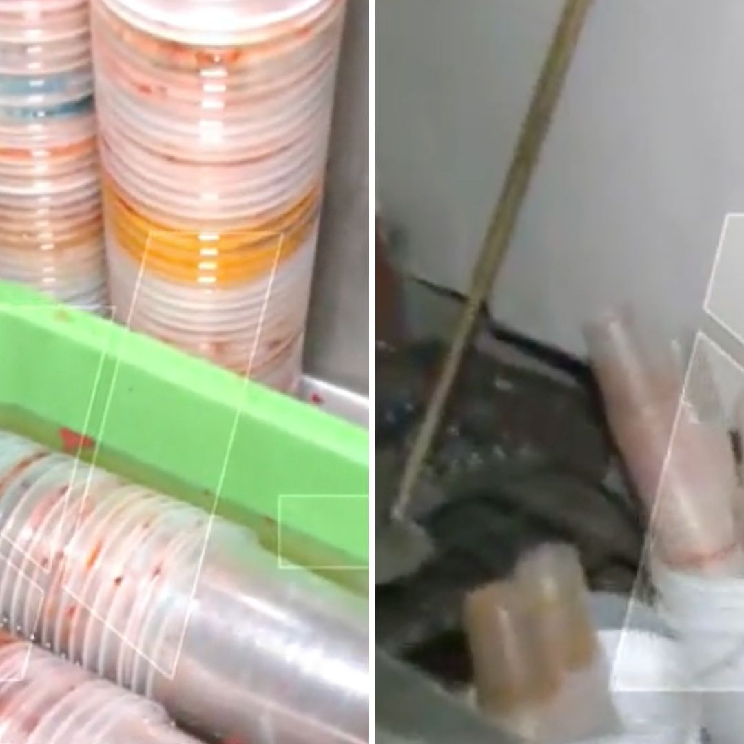 Clausuran Bar que Lavaba y Reutilizaba Vasos Desechables en San Cosme, CDMX, ¿Qué Más Hallaron?