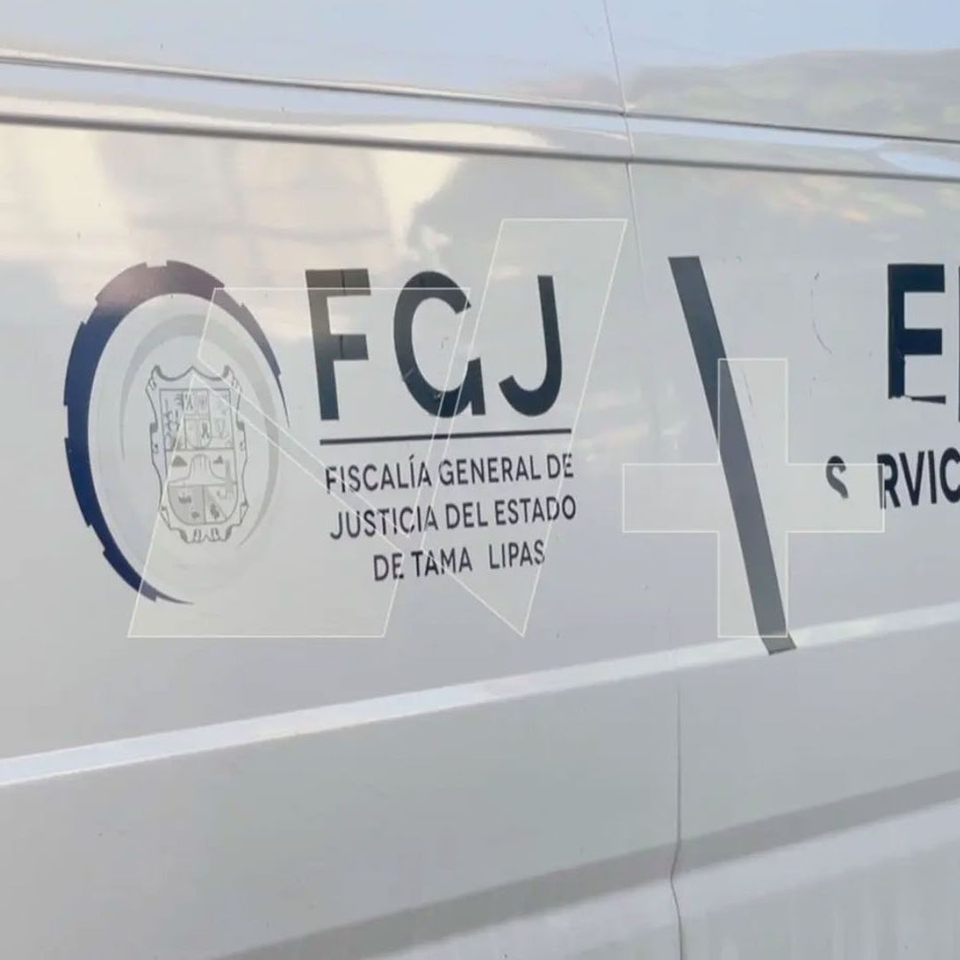 Ataque de Abejas en Tamaulipas Deja un Hombre Sin Vida y Tres Lesionados