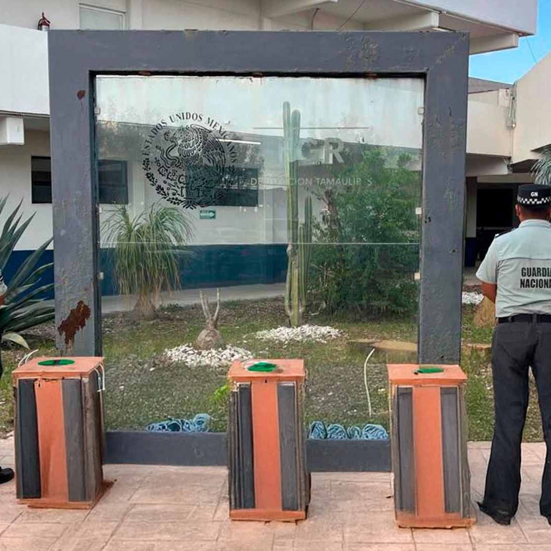 Rescatan Animales Silvestres en Aeropuerto de Reynosa; Esto Pasó