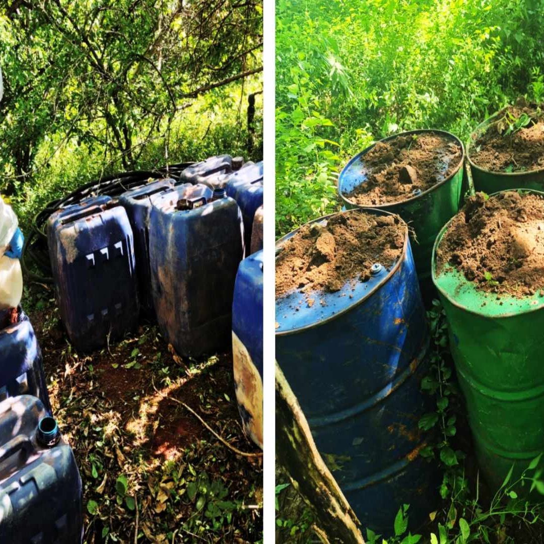 Inhabilitación de dos áreas de concentración de material para fabricar drogas sintéticas en Sinaloa.