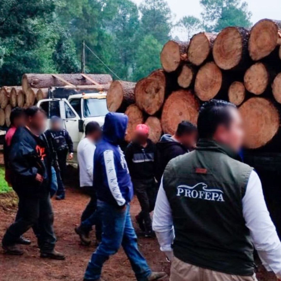 Varios hombres se encuentran viendo troncos grandes de madera sobre el vehículo.