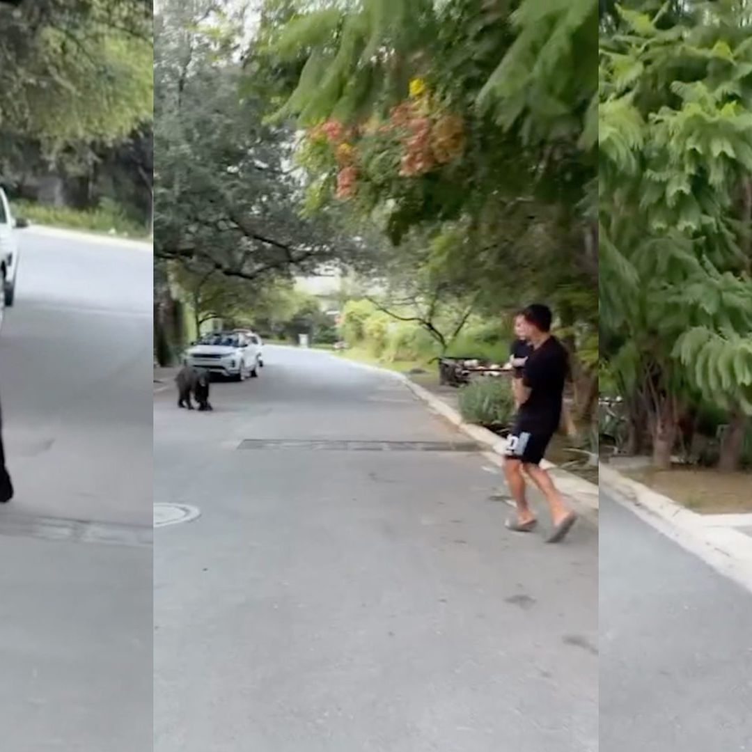 Ángel Correa se encuentra con un oso en San Pedro, Nuevo León