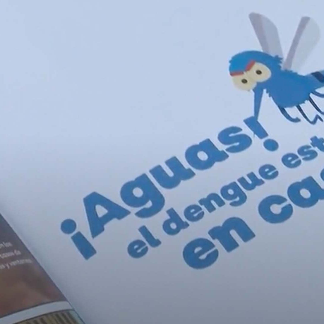 El dengue, especialmente el serotipo 3, puede provocar hepatitis en menores