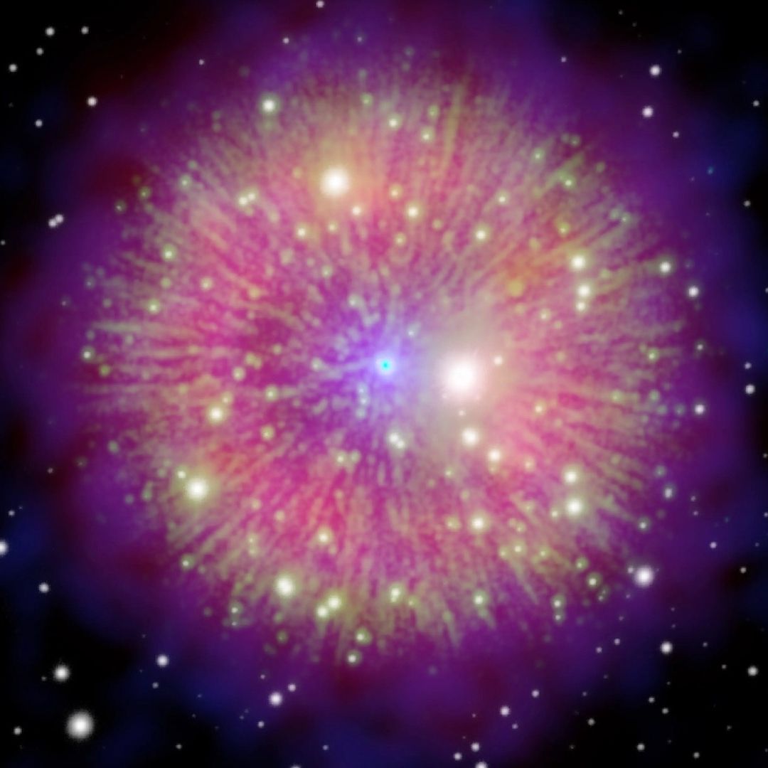 Estrella zombi sobrevivió a la supernova donde debía morir