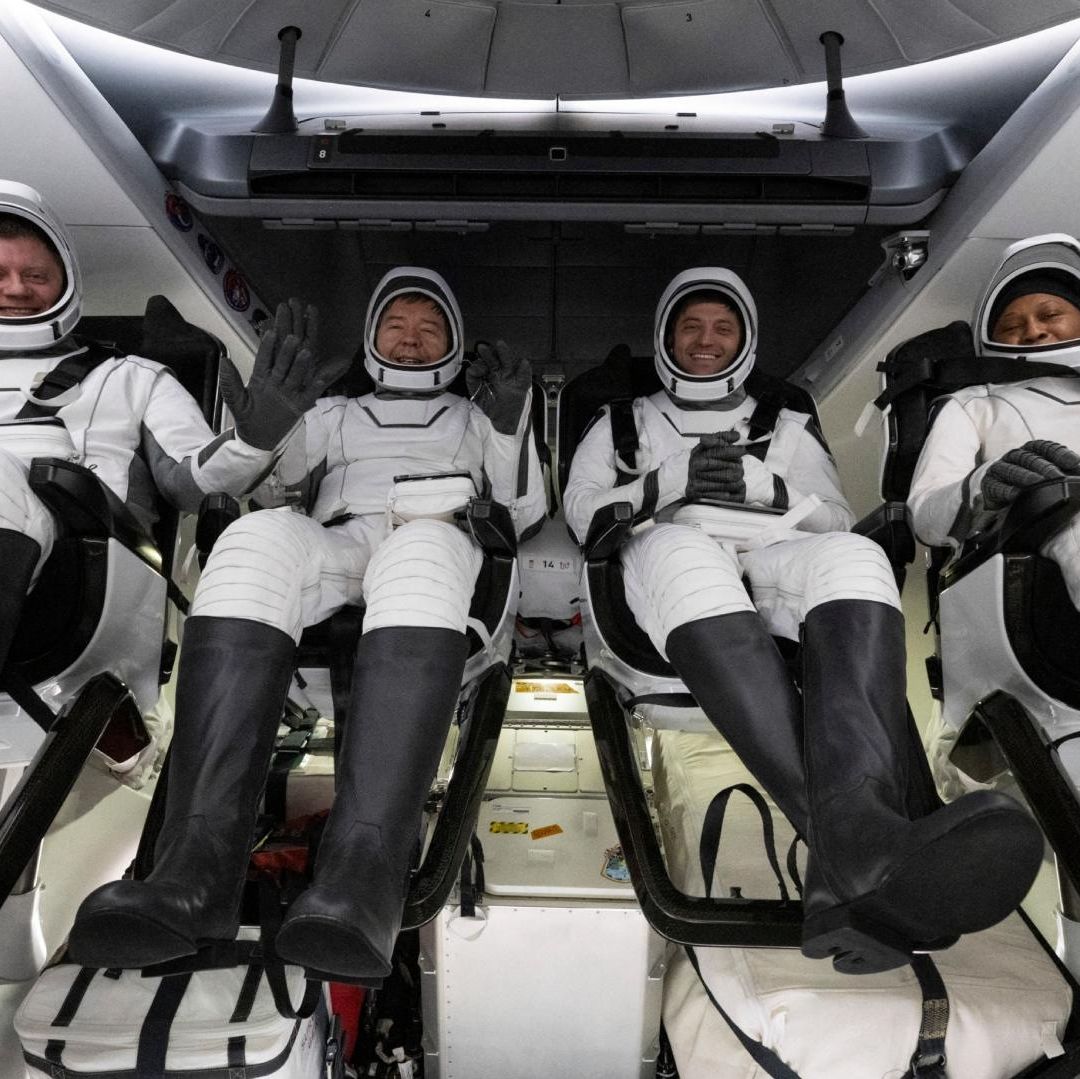 Los astronautas de la NASA Matthew Dominick, Michael Barratt y Jeanette Epps, y el cosmonauta de Roscosmos Alexander Grebenkin, llegaron la madrugada de este viernes a la Tierra. Foto AFP