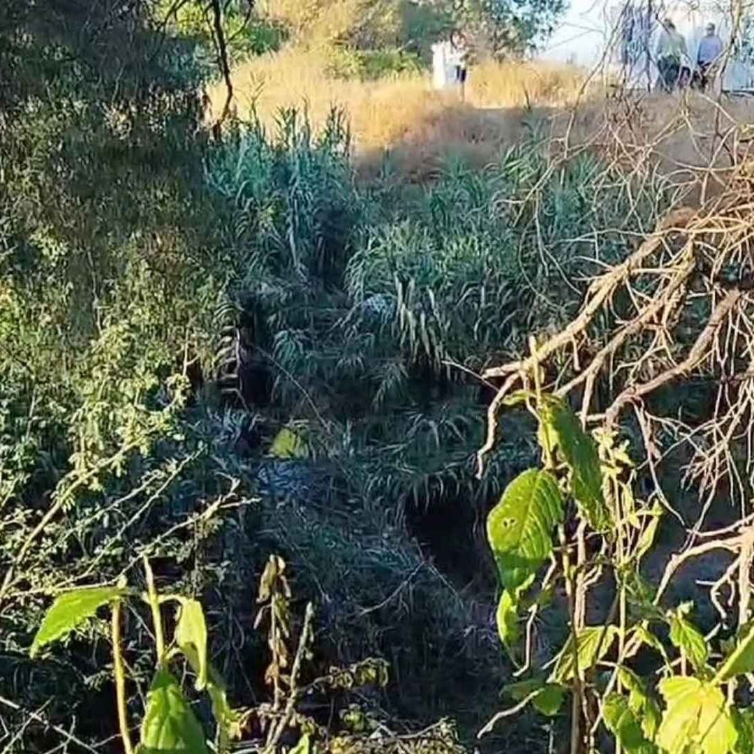 ejido corregidora queretaro