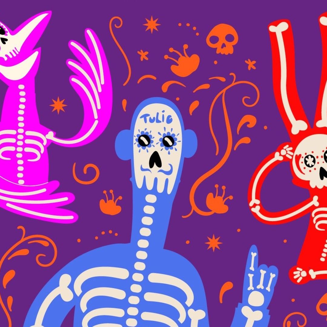 La fiesta promete ser una noche especial de entretenimiento y actividades para disfrutar en familia en una experiencia única en honor al Día de Muertos, con un toque especial de 31 Minutos