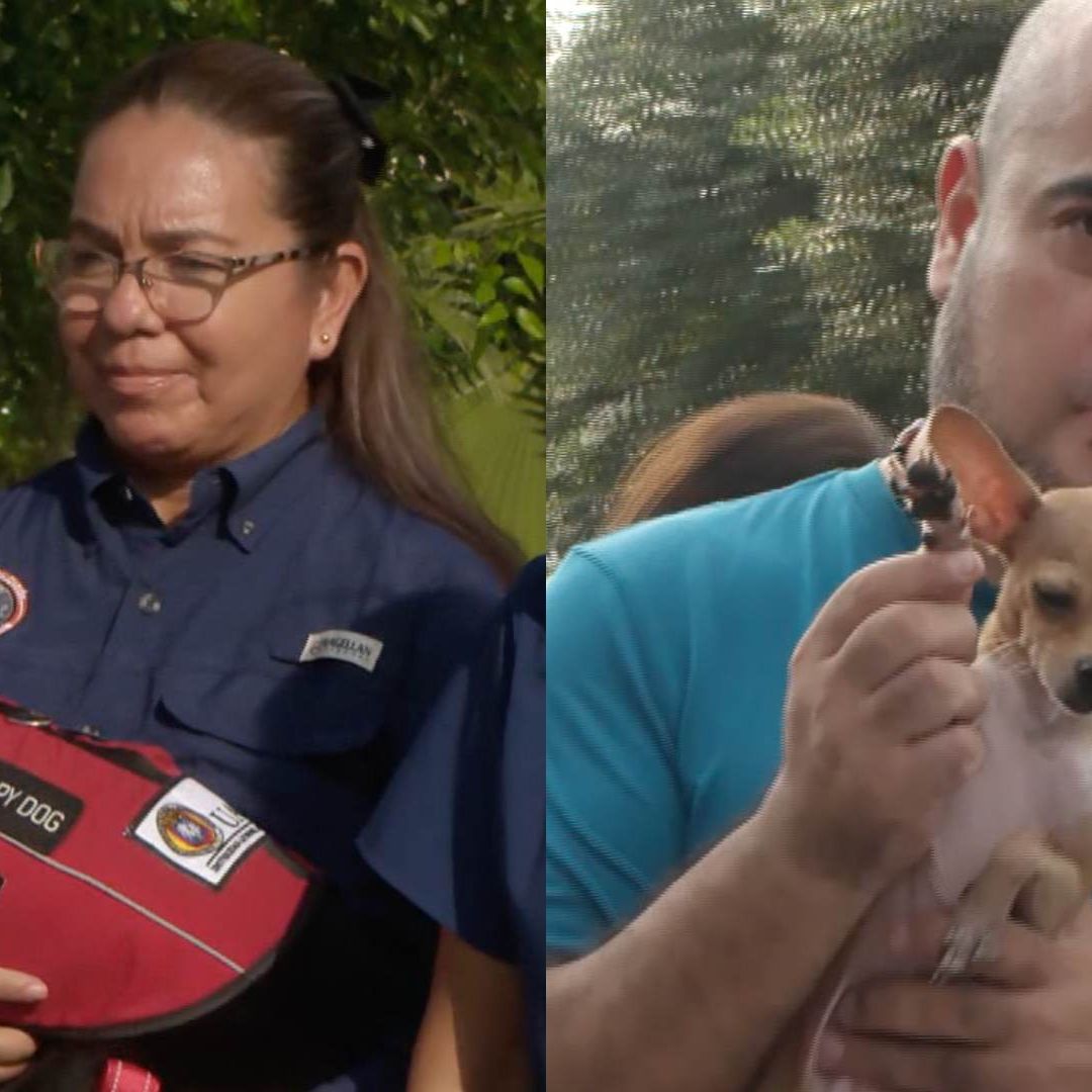 Perrito de terapia y mascotas acudiendo a ser bendecidos