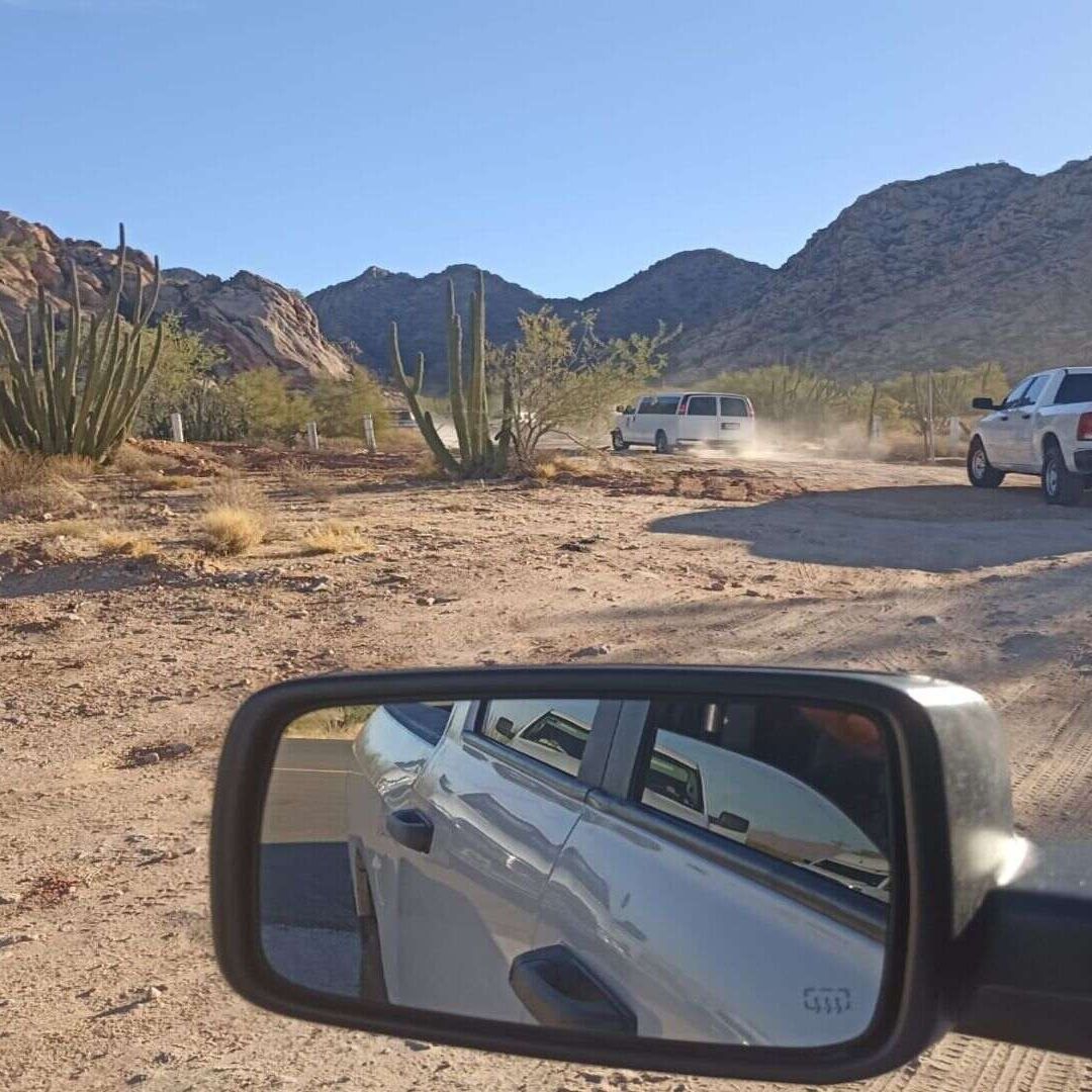 Colectivos Localizan Osamenta y Restos Óseos en Región de Sonoyta