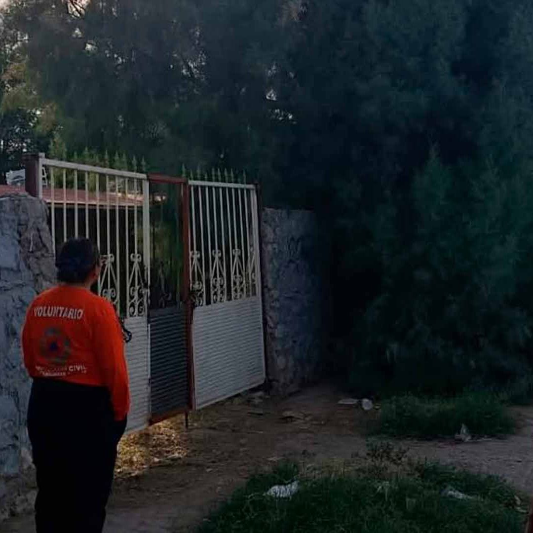Abejas Atacan a Directora y Alumnos de Primaria en Matamoros, Coahuila