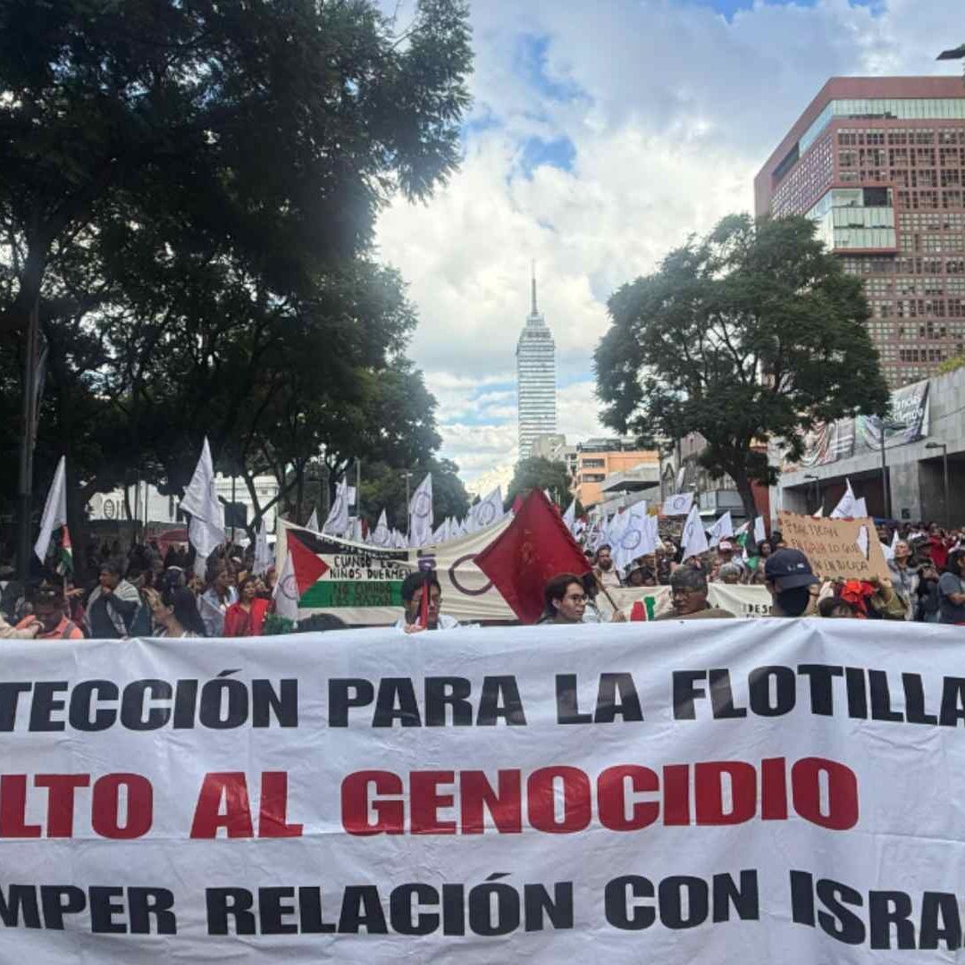 Marcha contra genocidio en Palestina. Foto: N+