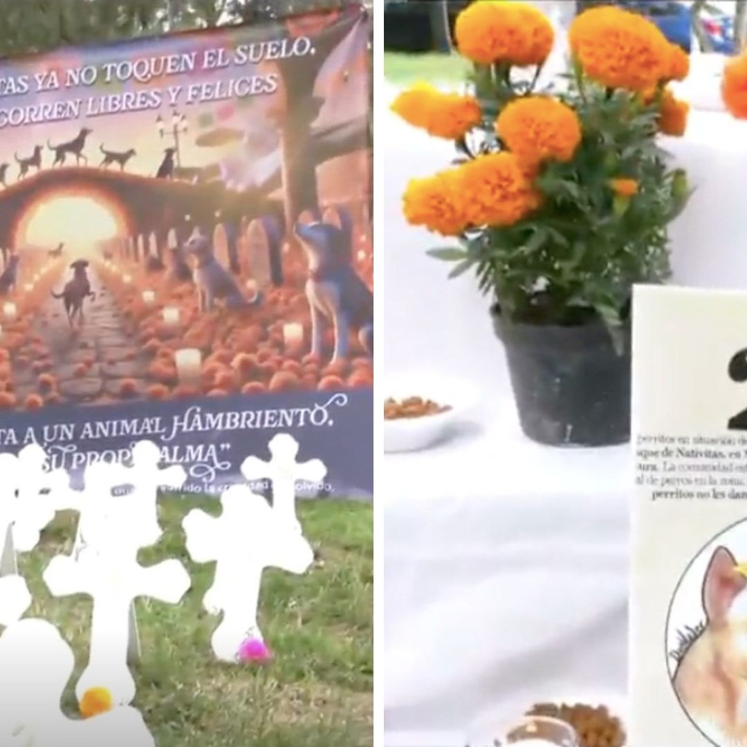 Con Ofrenda, Cruces y Flores Recuerdan a 25 Perritos Asesinados en Nativitas, Xochimilco