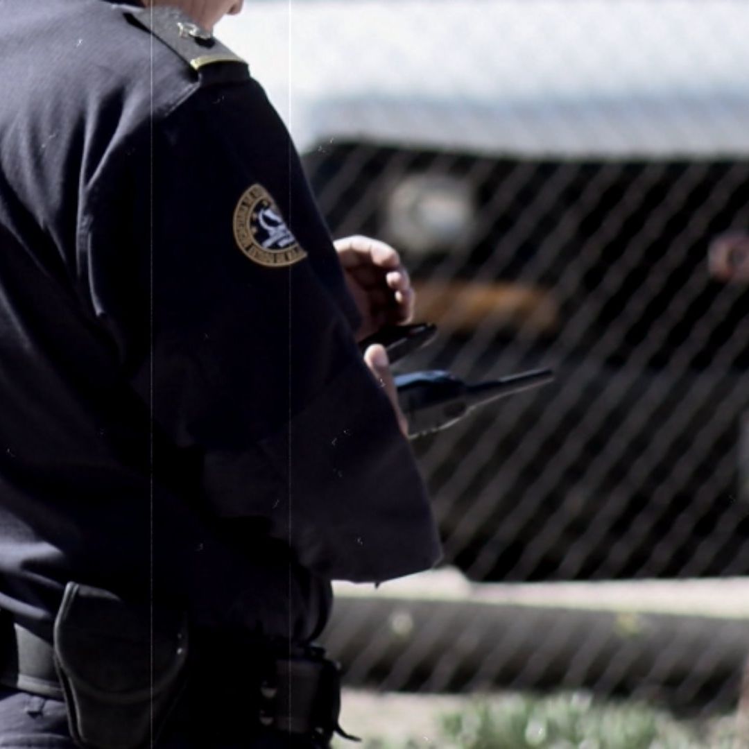 Entierran Dos Cuerpos Detrás de un Deshuesadero de Autos en Mexicali