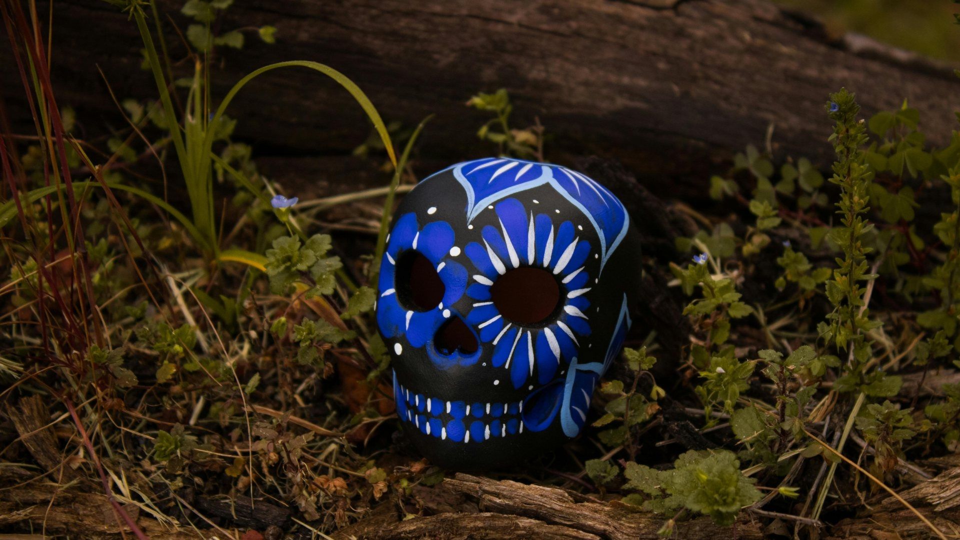 ¿Qué Almas Llegan el 30 de Octubre a la Ofrenda de Día de Muertos? Esta Hora Visitan los Altares