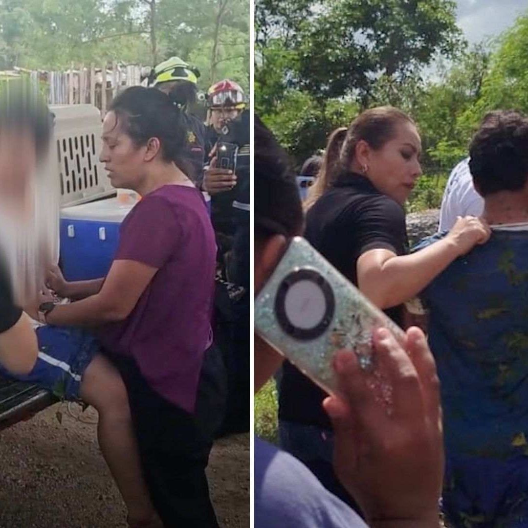 ¡Estaba en el Monte! Menor de Edad es Localizado con Vida Tras Días de Intensa Búsqueda