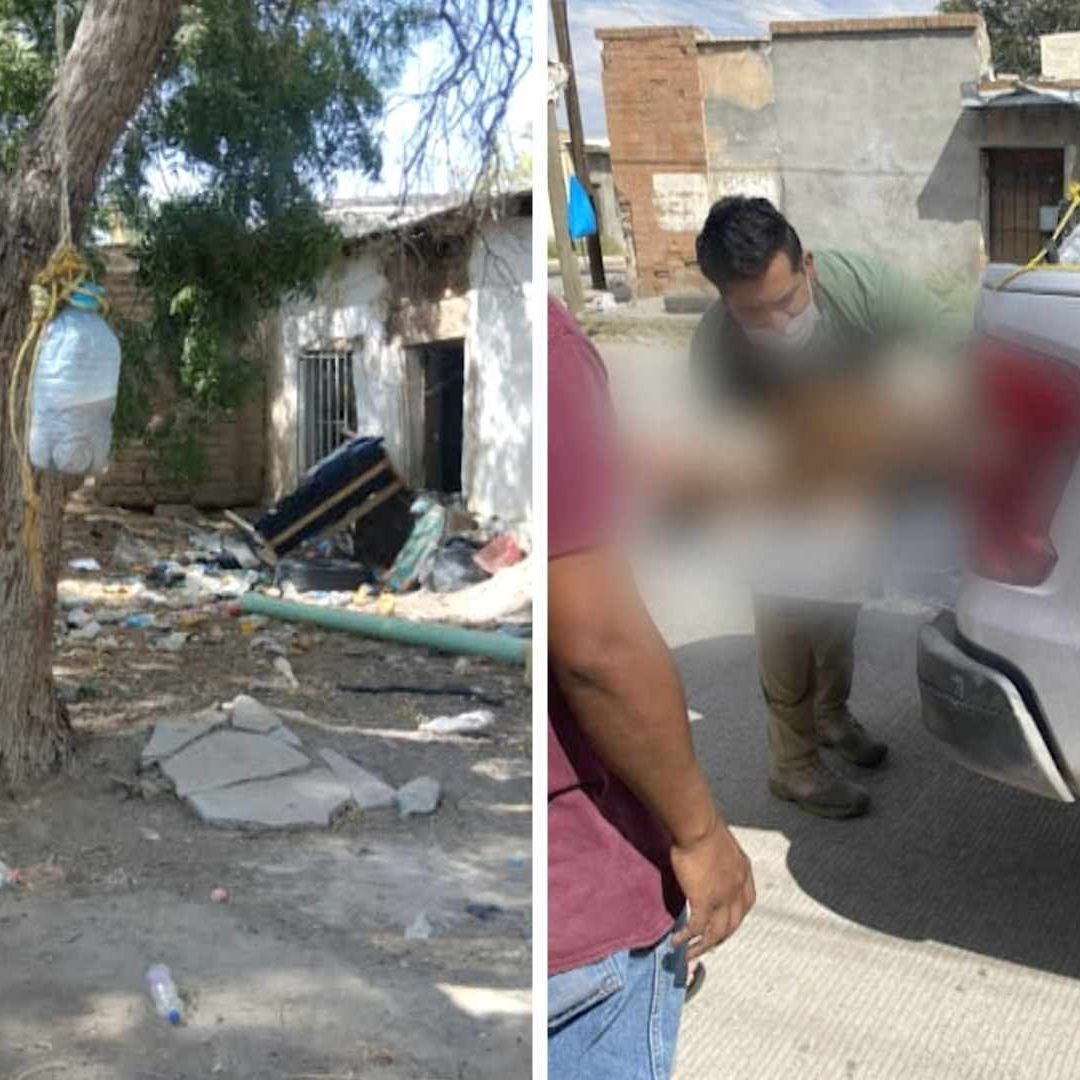 El Hombre Intentó Acabar con la Vida de la Mascota | Foto: DABA