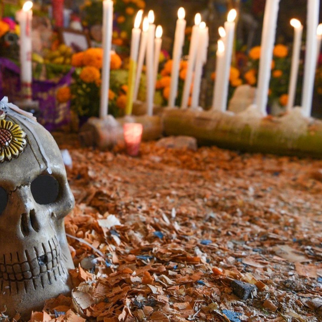 Podcast N+ | Caro Día de Muertos, Clubes de Compañía y Festival Pa'l Norte 2025