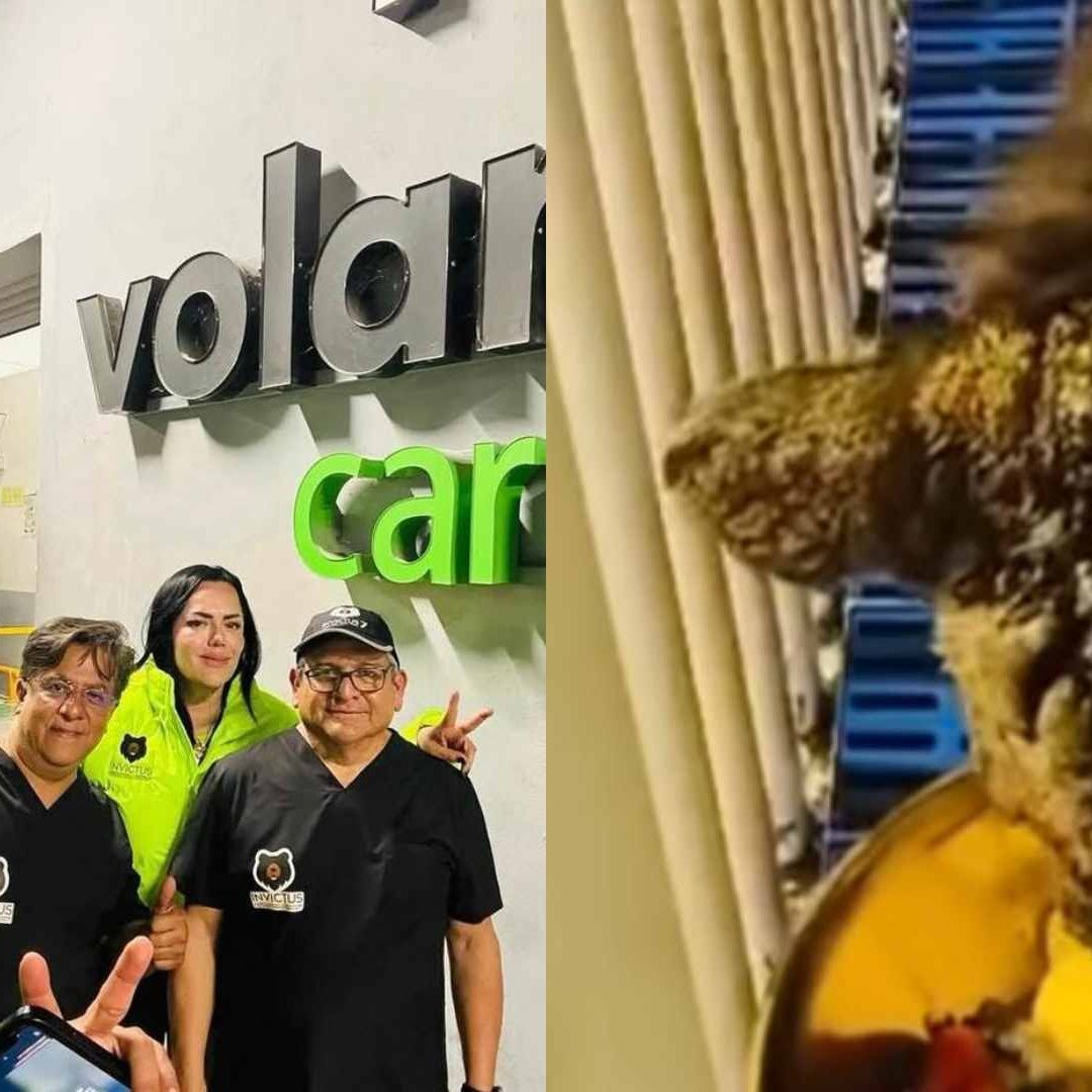 Traslado osa Mina a Fundación Invictus