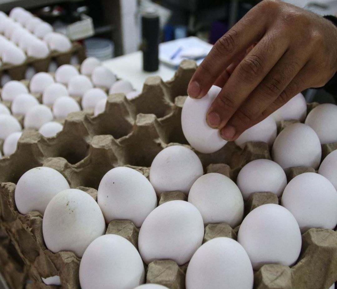 Según el INPC, este año el precio del huevo ha tenido una variación mensual de entre el 4
