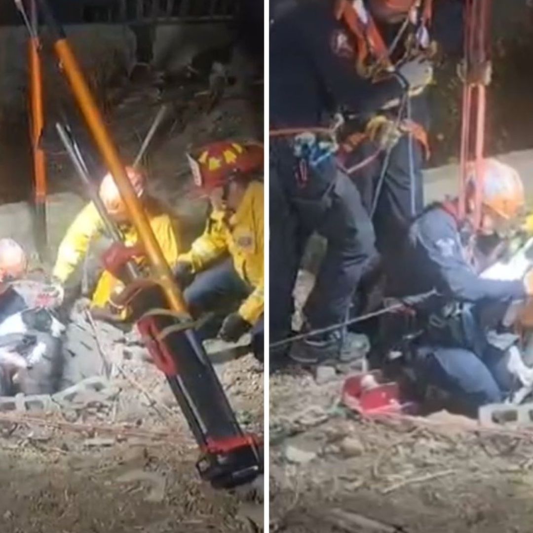 Bomberos Rescatan a Perrito Que Cayó Dentro de un Pozo en Tijuana
