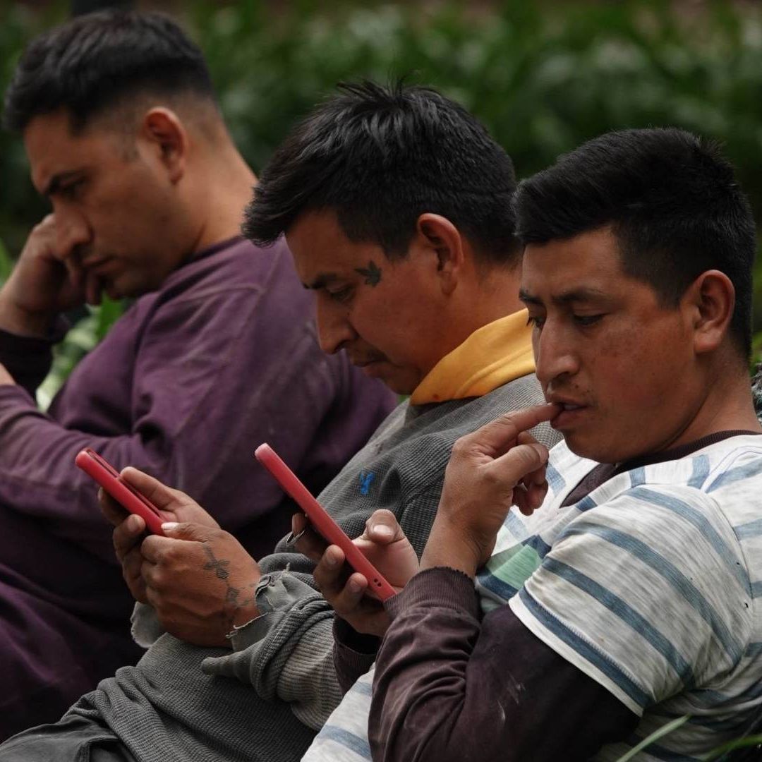 La Policía Cibernética de la CDMX emitió una serie de recomendaciones para evitar caer en esta estafa y otras que siguen los mismos patrones