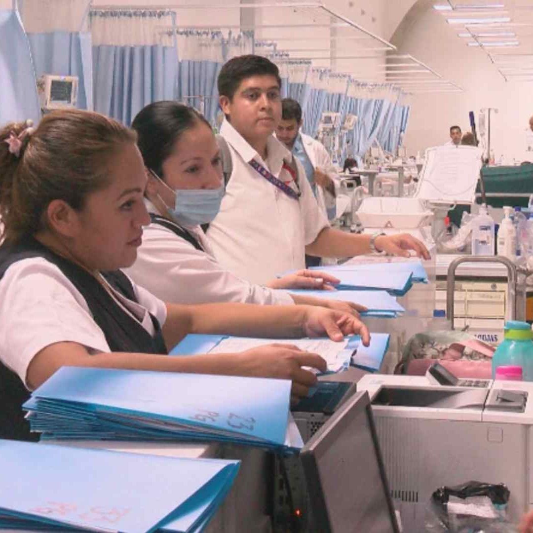 Jalisco Rompe Récord en Casos de Dengue; Superó los 13 Mil Contagios Durante 2024