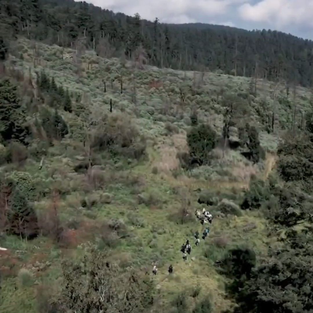 Desaparecidos en el Ajusco: Luis Óscar Acudió a Ejercitarse a la Zona, Hoy su Familia lo Busca