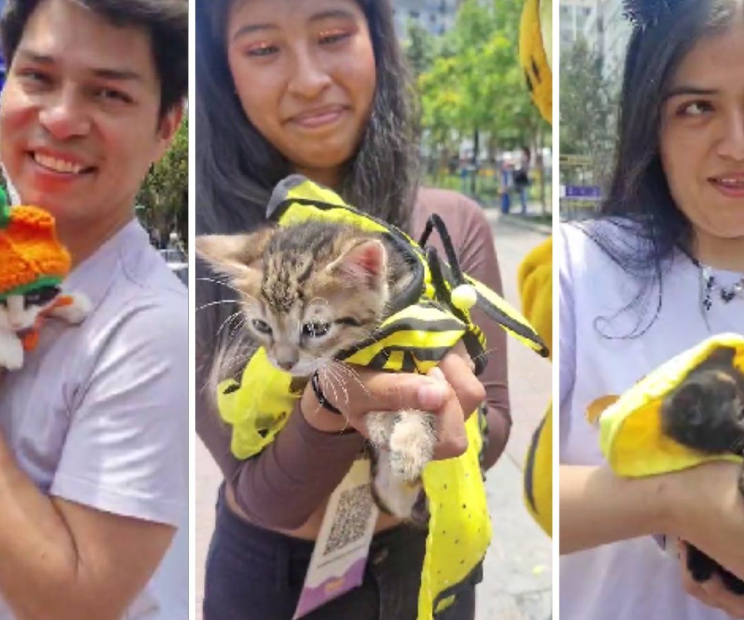 Realizan Gatoween para Promover la Adopción Responsable